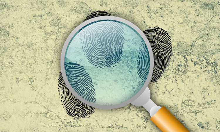 Forensic Investigation